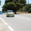 Montevago 2010 (445)